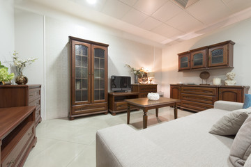 Wooden furniture in living room