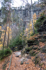 Autumn forest at Bohemian Switzerland
