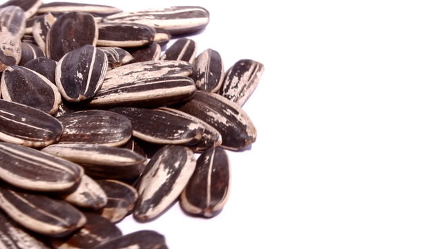 sunflower seeds on isolated background, Rotation
