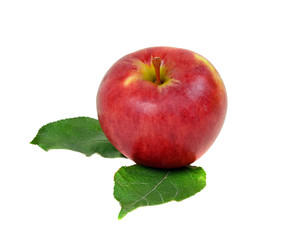 Red  apple with leaves, isolated
