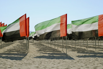 United Arab Emiratses close-up flags view