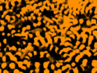 Orange and Black Printed Texture