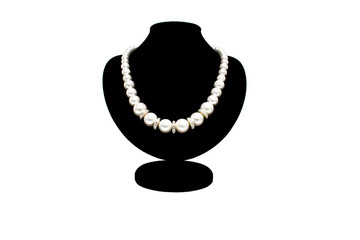 Obraz premium jewelry on a mannequin