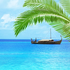 Fototapeta na wymiar Green palm leaves on sea background