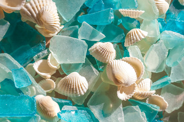 Turquoise sea glass and cockle shells; glass worn smooth by ocean waves - obrazy, fototapety, plakaty