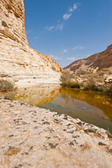 Canyon in Desert
