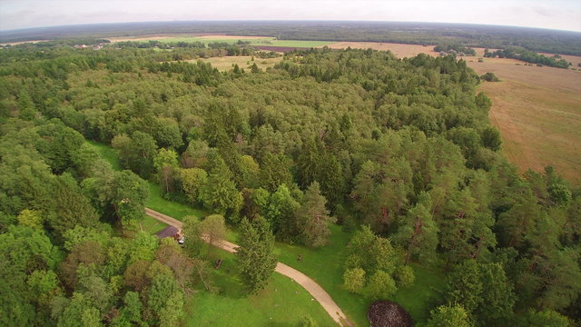 Top view of the green forest in Enumagi. The big forest with green trees and the brown hay field on the side