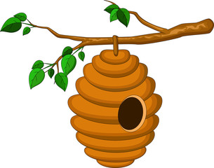 beehive hanging from a branch isolated