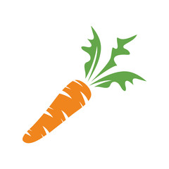 Carrot with green leaves