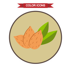 Almonds icon