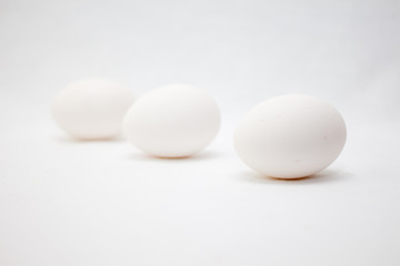white eggs on a white background 