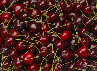 perfect cherries
