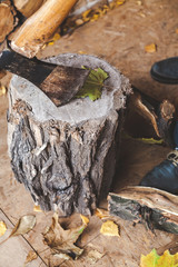 Axe stand on stump, log lying next