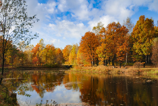 Złota Polska Jesień - park Trzy Stawy w Katowicach