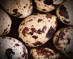 Quail eggs