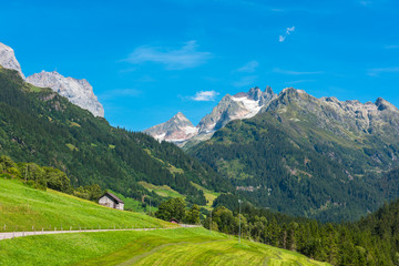 Fototapeta premium Swiss mountains with green land landscape