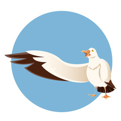 Obraz premium Happy greeting albatross