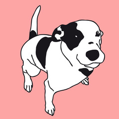 Smart black and white dog color. Man's best friend - flatten isolated illustration master vector.