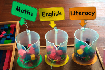 Academic surveying boxes about subject importance among maths english and literacy