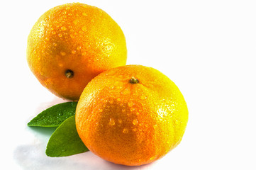 Oranges with green leaves over white background