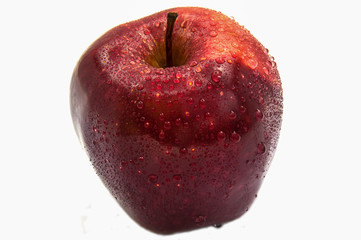 Isolated fresh apple with water drop, focus at it upper part