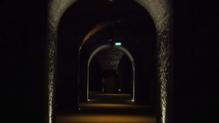 The dark hallway inside the wine cellar. A wine cellar is a storage room for wine in bottles or barrels or more rarely in carboys amphorae or plastic containers. 