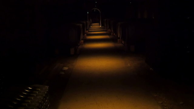 The hallway of the wine cellar in Paris. The wine cellar the storage room for wine bottle and wine barrels