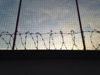 Barbed wire wall with fence