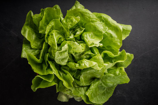 Fresh green lettuce salad on  black table