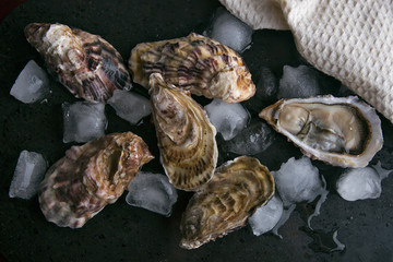 Oysters and ice