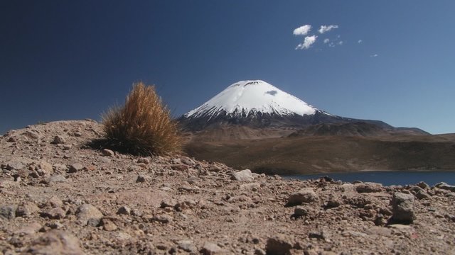 View to the Parinacota volcano in Lauca National Park, Chile.