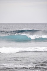 Blue wave rolls towards a beach