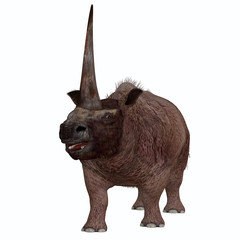 Naklejka premium Elasmotherium on White - Elasmotherium is an extinct mammal that lived in the Pleistocene Period of Russia, Ukraine, and Moldova.