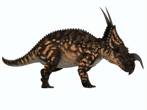 Einiosaurus Side Profile - Einiosaurus was a herbivorous ceratopsian dinosaur that lived in the Cretaceous Age of Montana, North America.