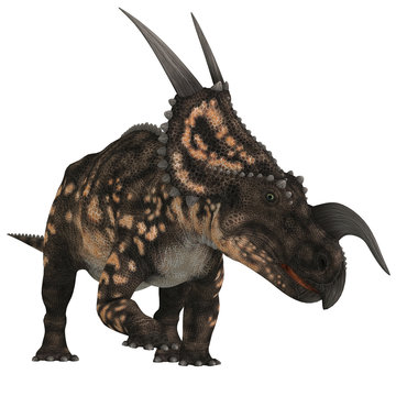 Einiosaurus on White - Einiosaurus was a herbivorous ceratopsian dinosaur that lived in the Cretaceous Age of Montana, North America.