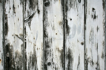 Obraz premium weisse holzbretter kulisse konzept maserung shabby chic lifestyle 2017