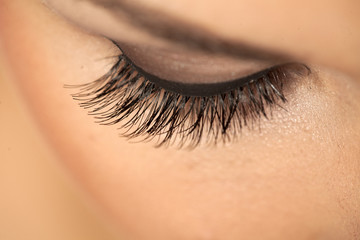 closeup of made-up female eye with artificial eyelashes