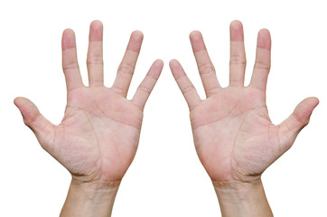  hands