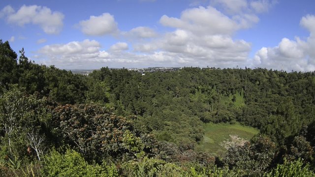 View to the prehistoric volcanic crater in Curepipe, Mauritius. 