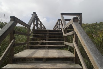 Wooden stairs leading to beach at Cape Canaveral, Florida