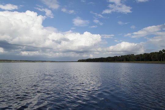 Lake In Myakka River State Park, Florida Everglades