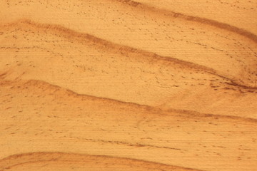 Background of wood texture closeup