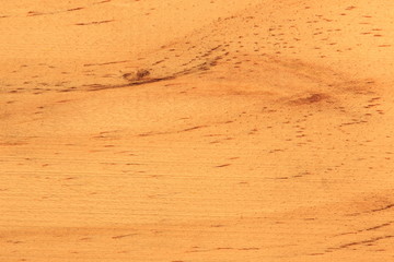 Background of wood texture closeup