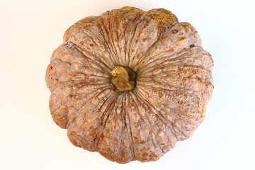 pumpkin ugly rot isolated on white background