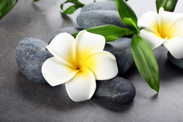 Naklejka na ściany i meble Hot spa stones with flowers and bamboo on grey background, close-up