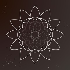 Geometric floral line in space in mysterious and sacred feel.