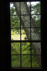 Rustic summer scene through vertical window, New England.
