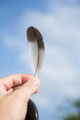  feather with hand.