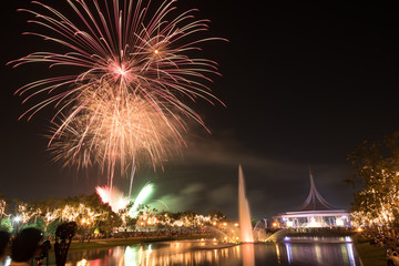 beautiful firework display for celebration