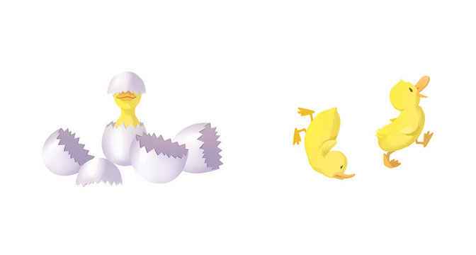 Illustration for Children: Baby Little Duck. Realistic Fantastic Cartoon Style Artwork / Story / Scene / Wallpaper / Background / Card Design
